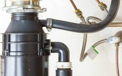 How Long Do Garbage Disposals Last? A Guide from Spicewood Plumbing